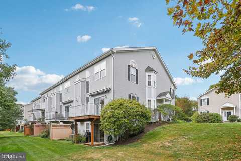 Stirrup, WEST CHESTER, PA 19382