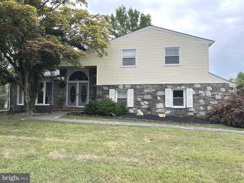 Killdeer, HUNTINGDON VALLEY, PA 19006