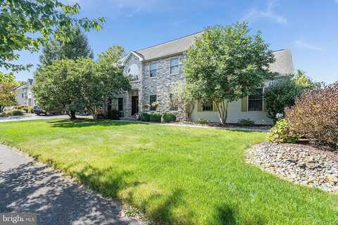 Willow, EASTON, PA 18040