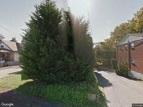 Willow, WILLOW GROVE, PA 19090