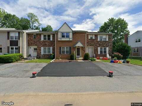 Buttercup, MACUNGIE, PA 18062