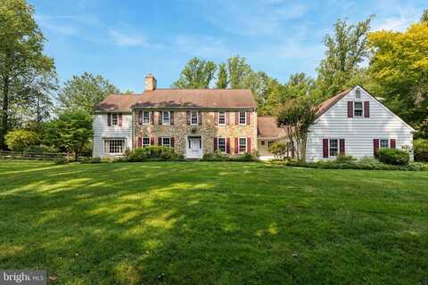 Beech, AMBLER, PA 19002