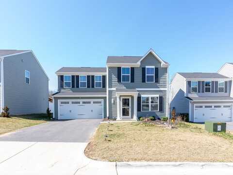 Wingtip, ROCKINGHAM, VA 22801