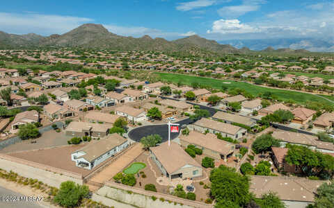 Senita Cactus, MARANA, AZ 85658
