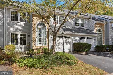 Carmen, COLLEGEVILLE, PA 19426