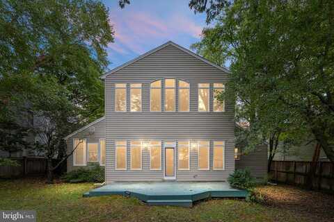 Pine, FALLS CHURCH, VA 22046