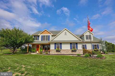 Tree Line, FREDERICKSBURG, PA 17026