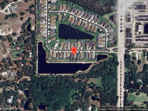Cohosh, NOKOMIS, FL 34275
