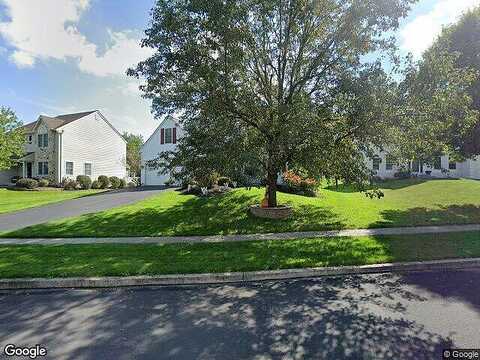 Scarlet Oak, CHALFONT, PA 18914