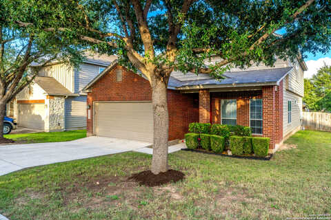 Rose, HELOTES, TX 78023