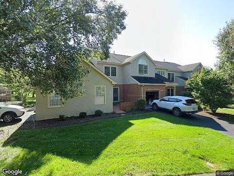 Bridle, AMBLER, PA 19002
