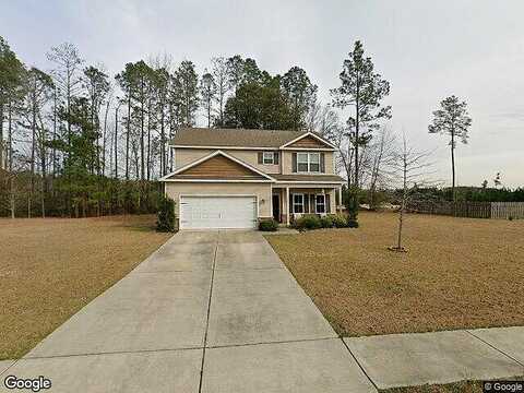 Saddlebrush, ELLABELL, GA 31308