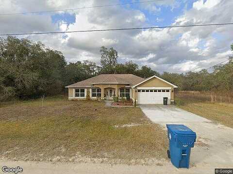 Petrel, WEEKI WACHEE, FL 34614