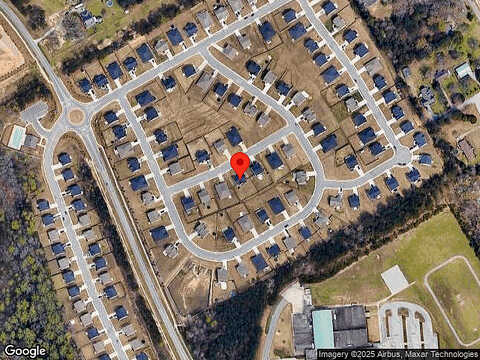 Nandina, LOGANVILLE, GA 30052