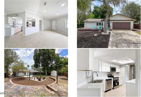 Union Springs, SPRING HILL, FL 34608