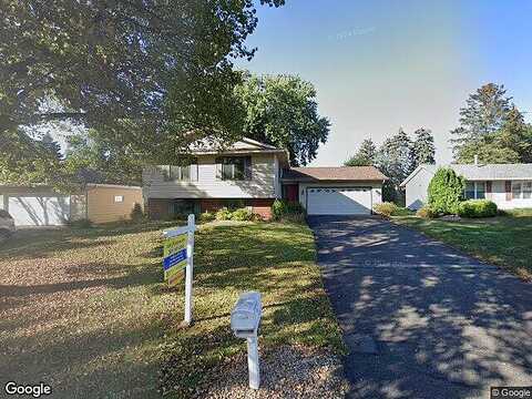 Warbler, SAINT PAUL, MN 55119