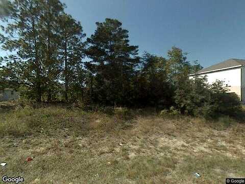 Tanner, SPRING HILL, FL 34609