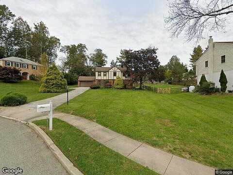 Diana, CONSHOHOCKEN, PA 19428