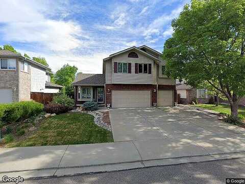 Pheasant, LONGMONT, CO 80503