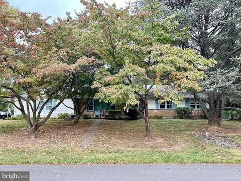Kleyona, PHOENIXVILLE, PA 19460