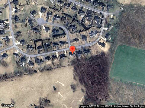 Marigold, ROCKINGHAM, VA 22801
