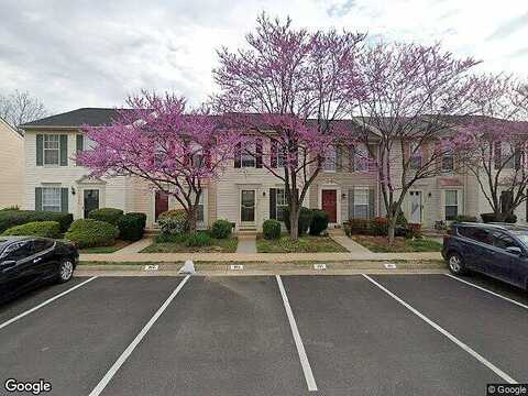 Tiger Lily, WOODBRIDGE, VA 22192
