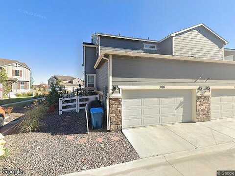 Buckwheat, BRIGHTON, CO 80640