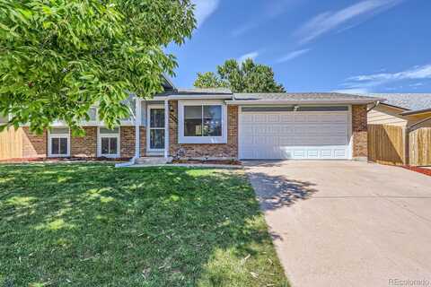 Iris, LITTLETON, CO 80123