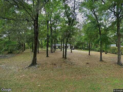Tarragon, MIDDLEBURG, FL 32068