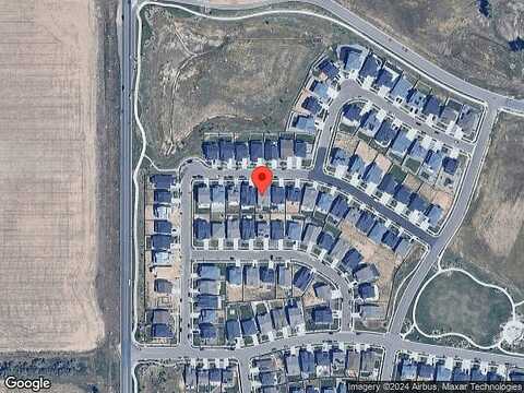 Shikra, BRIGHTON, CO 80601
