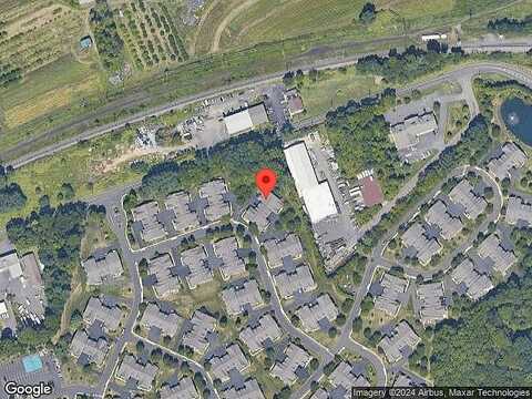 Sugarberry, LANGHORNE, PA 19047