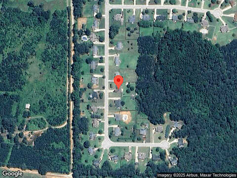 Nettie, MCDONOUGH, GA 30252