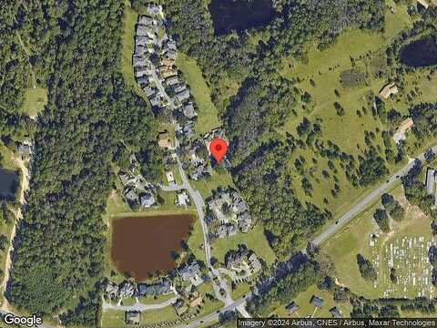 Cattail, STATESBORO, GA 30458