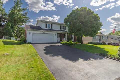 Hill, ALLENTOWN, PA 18103