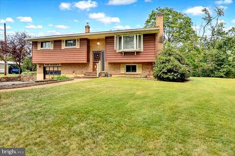 Spruce, BIRDSBORO, PA 19508