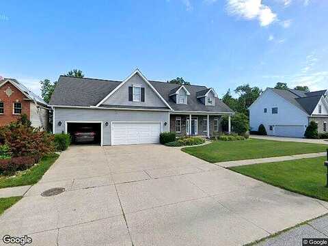 Fossilwood, ERIE, PA 16506