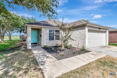 Arabian, VICTORIA, TX 77904