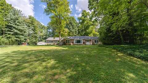 Lilac, ALLENTOWN, PA 18103
