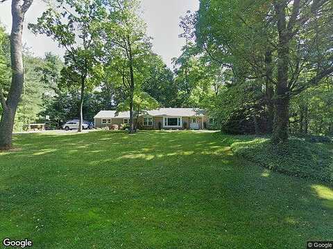 Lilac, ALLENTOWN, PA 18103