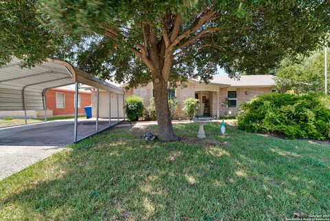 Blaze, SAN ANTONIO, TX 78218