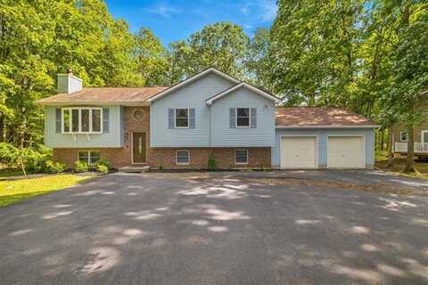 Sassafras, KUNKLETOWN, PA 18058