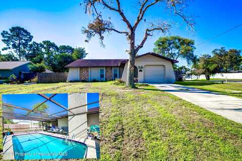 Drysdale, SPRING HILL, FL 34609
