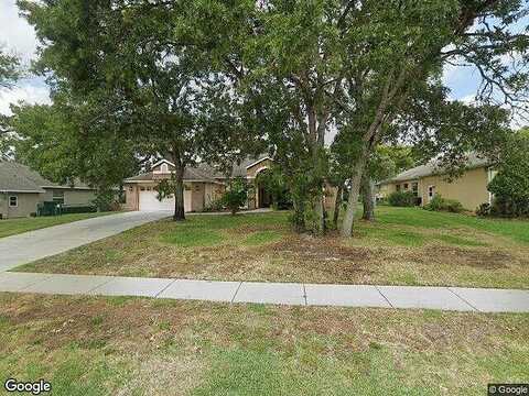 Palmgren, SPRING HILL, FL 34608