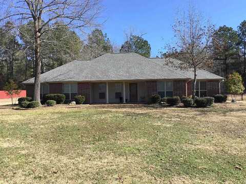 County Road 4132, ATLANTA, TX 75551