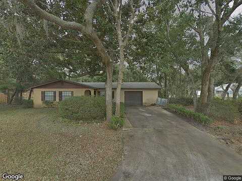 Orchis, SAINT AUGUSTINE, FL 32086