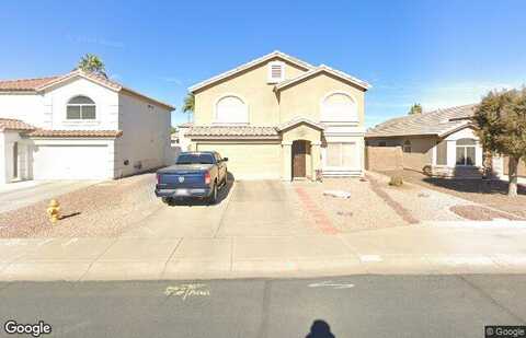 Camellia, GILBERT, AZ 85296