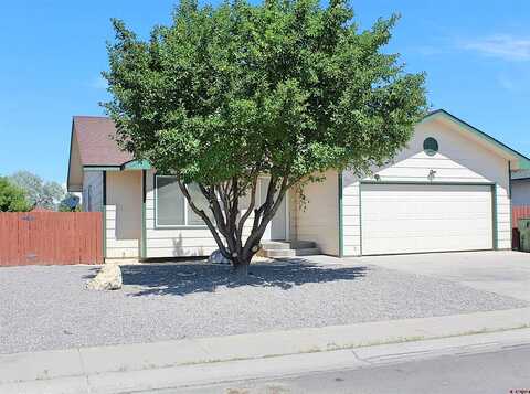 Calle Buena, ALAMOSA, CO 81101