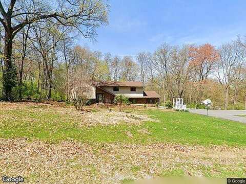 Chinkapin, FLEETWOOD, PA 19522