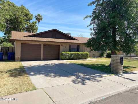 Duke, TEMPE, AZ 85283