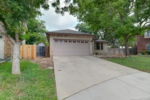 Possum, SAN ANTONIO, TX 78232